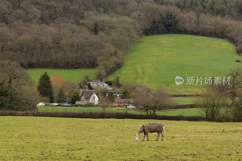 萨默塞特，布莱克down Hills的英国风景